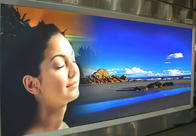 Backlit & Display Film