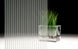 Fasara Glass Finishes Stripe - SH2FGST Shutie