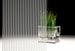Fasara Glass Finishes Stripe - SH2FGFN Fine