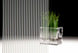 Fasara Glass Finishes Stripe - SH2FGFN Fine