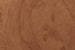 3M DI-NOC Wood Grain WG-763GN exact pattern architectural finish
