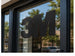 3M Scotchcal 7725 ElectroCut Cast Vinyl - Matte Black 022 storefront window application