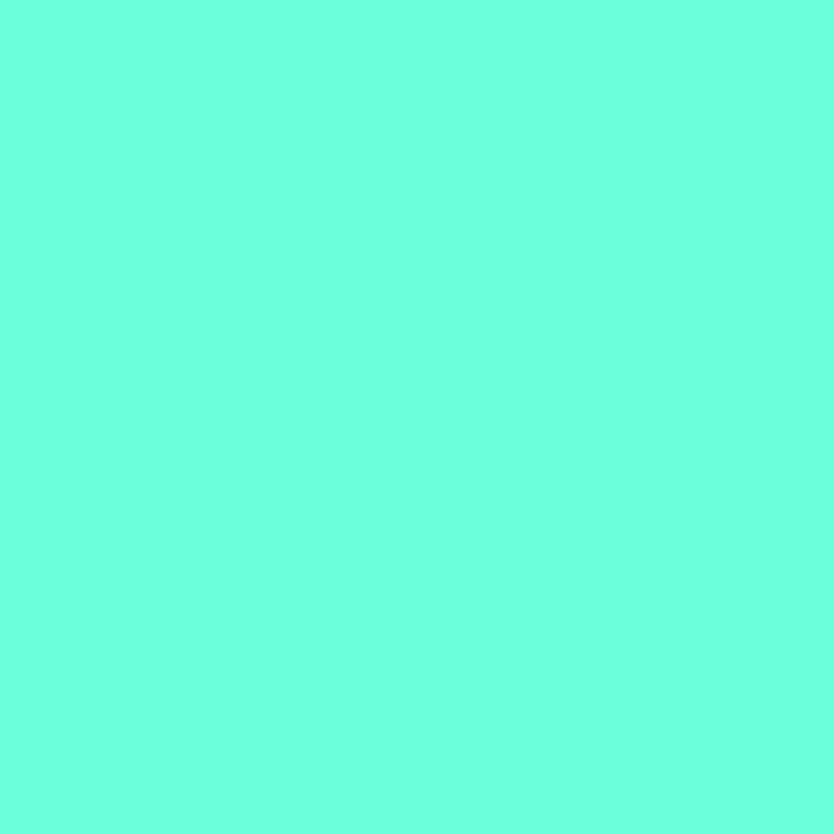 Mint Green Ultra-High Gloss Economy Sticker Vinyl