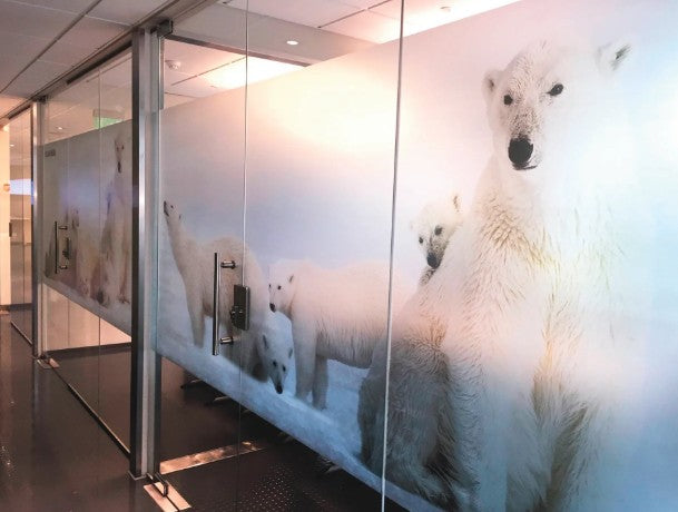 Glass wall with polar bear illustrations in an indoor setting