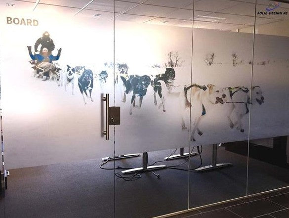 Glass wall with decorative cow illustrations and 'BOARD' branding.