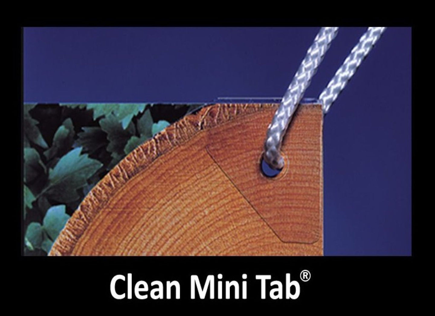 Wooden surface with a metal tab labeled 'Clean Mini Tab' against a blue background.