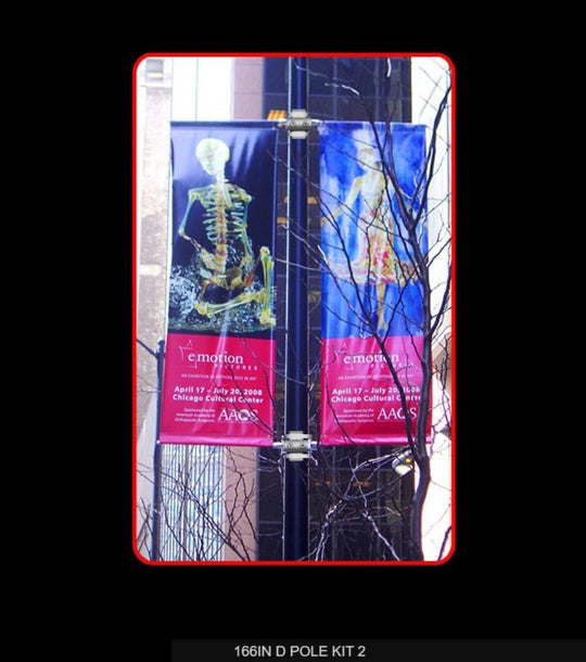 Two anatomical posters on a pole with a building and tree in the background.
