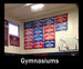 Gymnasium wall with sports championship banners and basketball hoop.