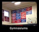 Gymnasium wall with sports championship banners and basketball hoop.