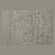 3M DI-NOC CN-2512 exact product pattern or finish