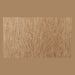 3M DI-NOC Dry Wood DW-2209MT exact pattern swatch — 1500 x 1500 square