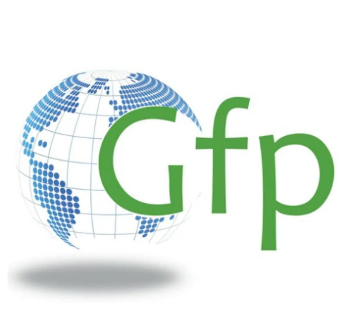 Logo with a globe and 'Gfp' text on a white background