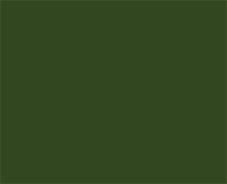 7725 - Opaque 3M High Performance Vinyl Khaki Green 016