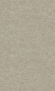 3M DI-NOC Stone Finish -Earth Stone AE-2161