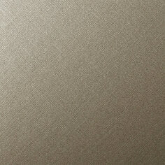 3M DI-NOC Metallic Finish - Metallic Hairline CH-1629