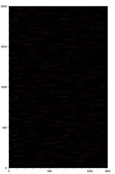 3M DI-NOC Wood Finish - Fine Wood FW-1752