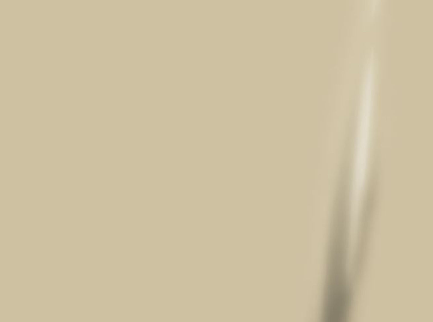 Ivory swatch