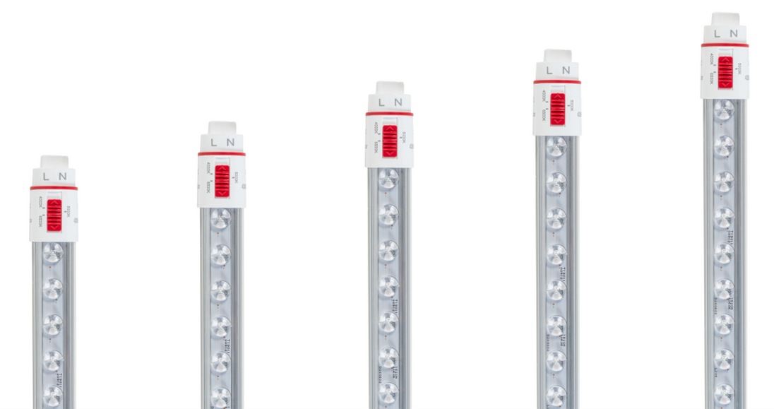 Five LED linear tube lights of varying heights arranged in ascending order against a solid white background.