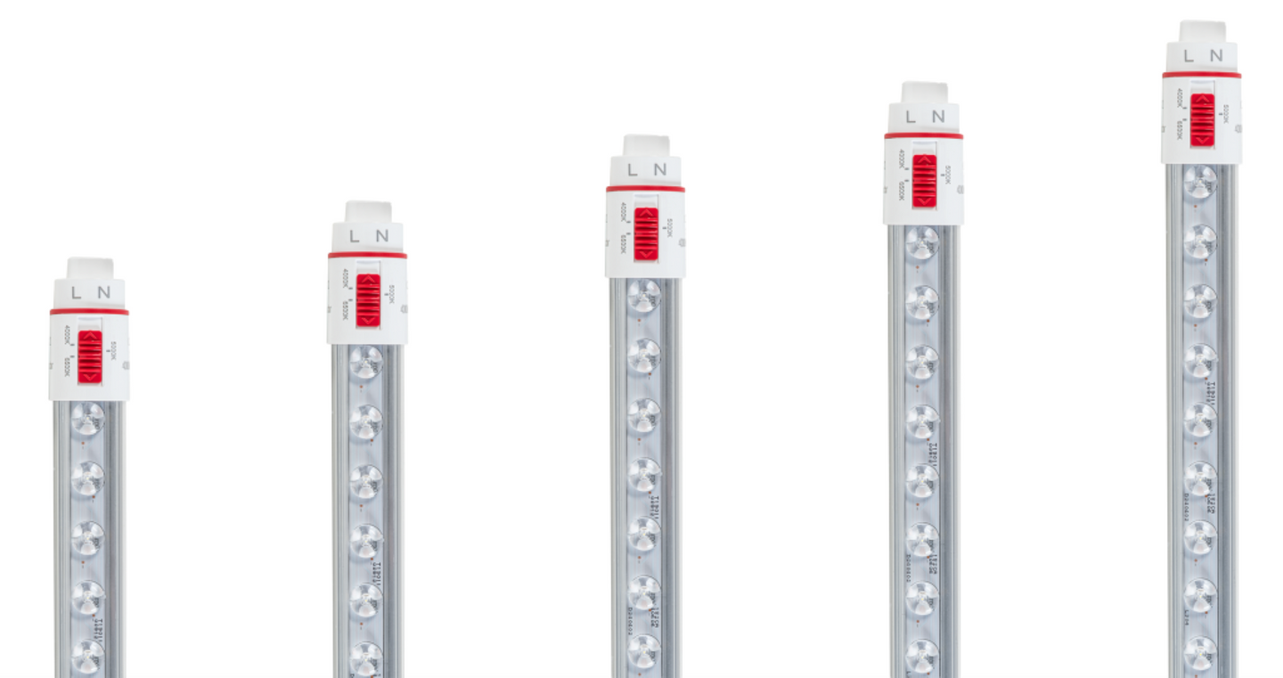 Five LED linear tube lights of varying heights arranged in ascending order against a solid white background.