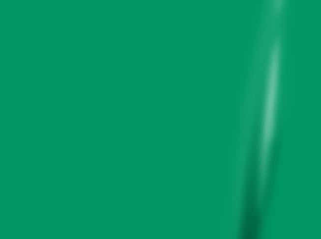 Solid Light Kelly Green color swatch