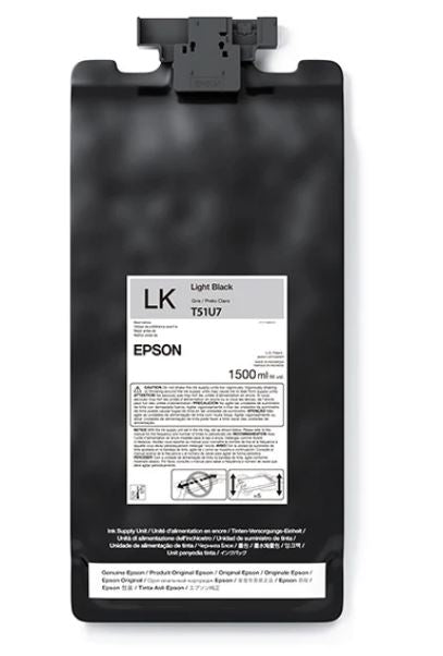 Epson light black ink cartridge packaging on a white background