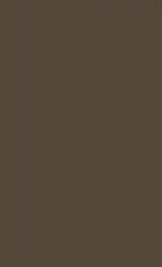Solid brown color swatch