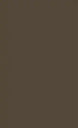 Solid brown color swatch