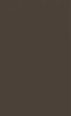 Solid brown color swatch