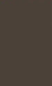 Solid brown color swatch