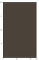 Solid dark brown color swatch