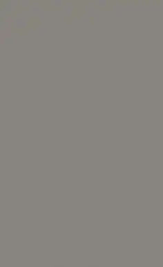 Solid gray color swatch
