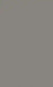 Solid gray color swatch
