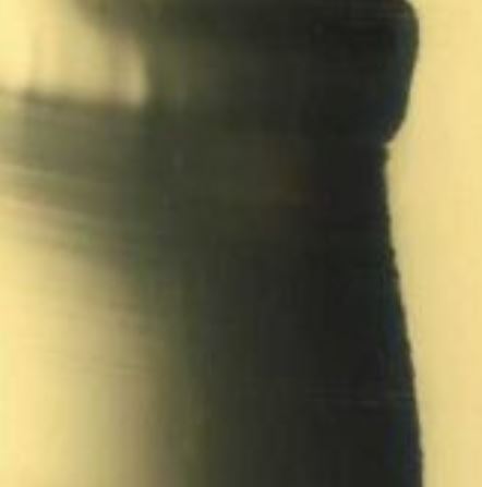 Trim Cap Polished Gold