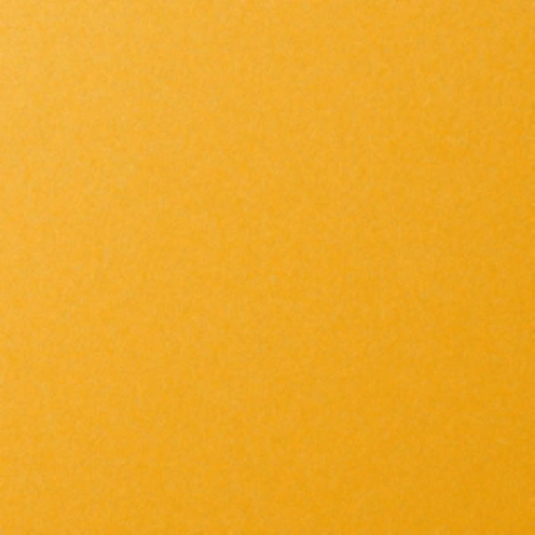 Solid mustard yellow color swatch