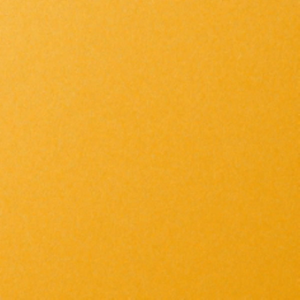 Solid mustard yellow color swatch