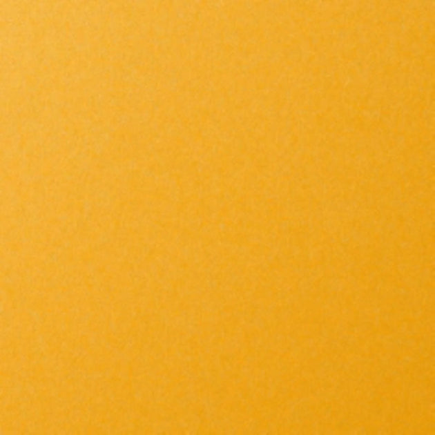 Solid mustard yellow color swatch