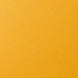 Solid mustard yellow color swatch