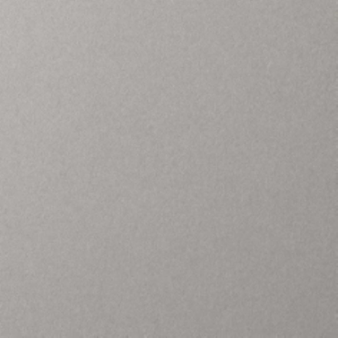 Solid light gray color swatch