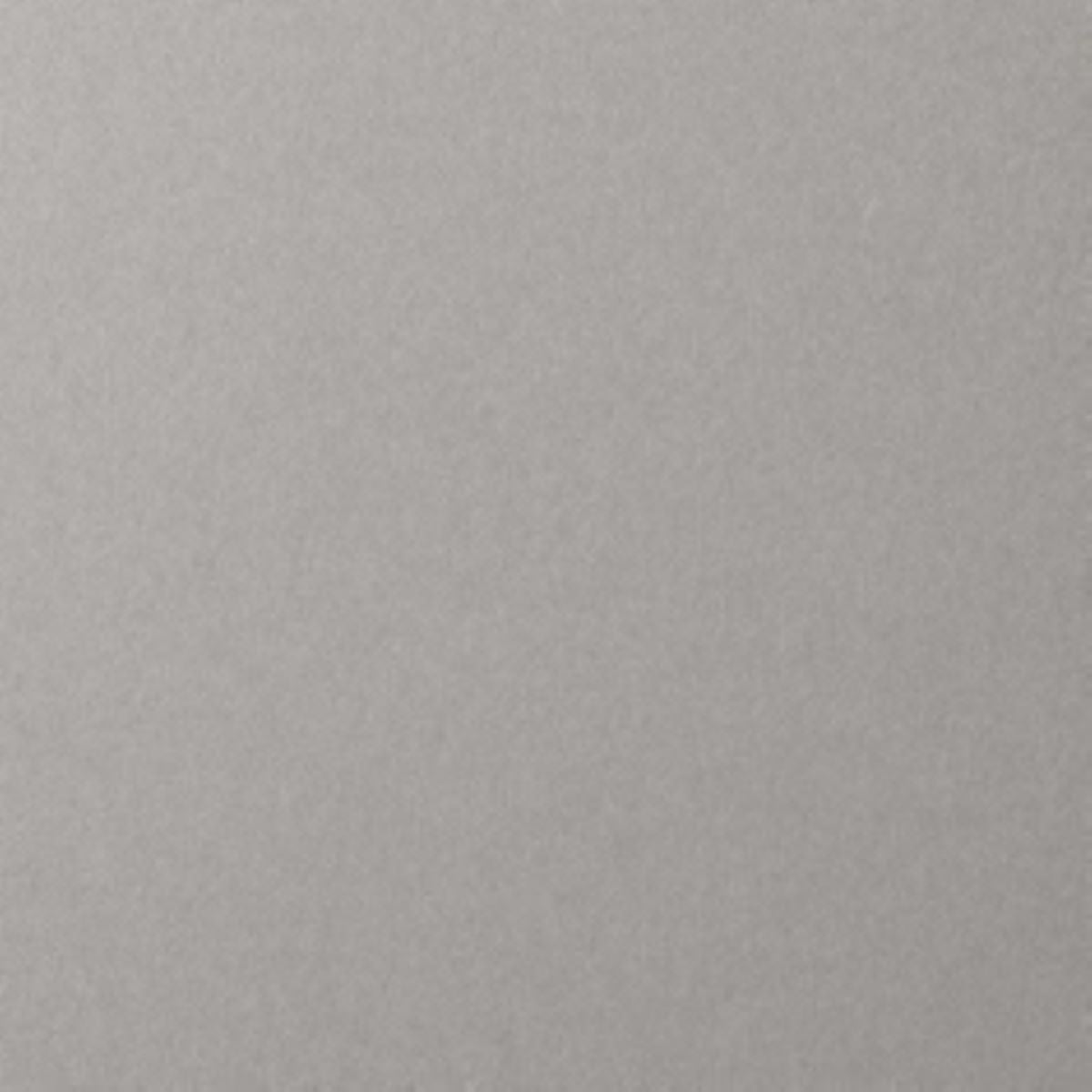 Solid light gray color swatch