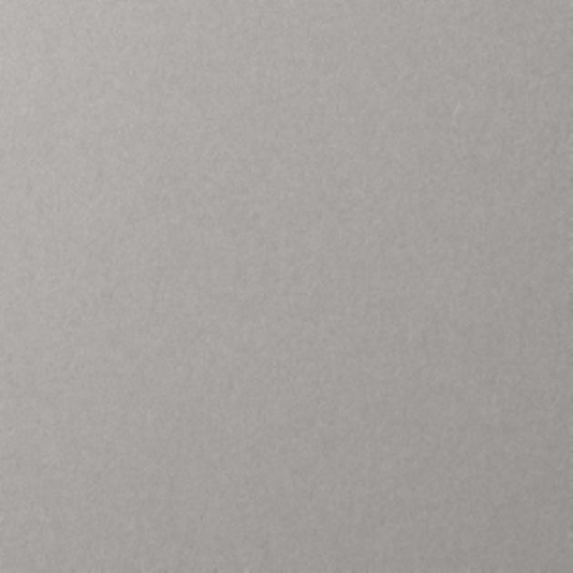 Solid light gray color swatch