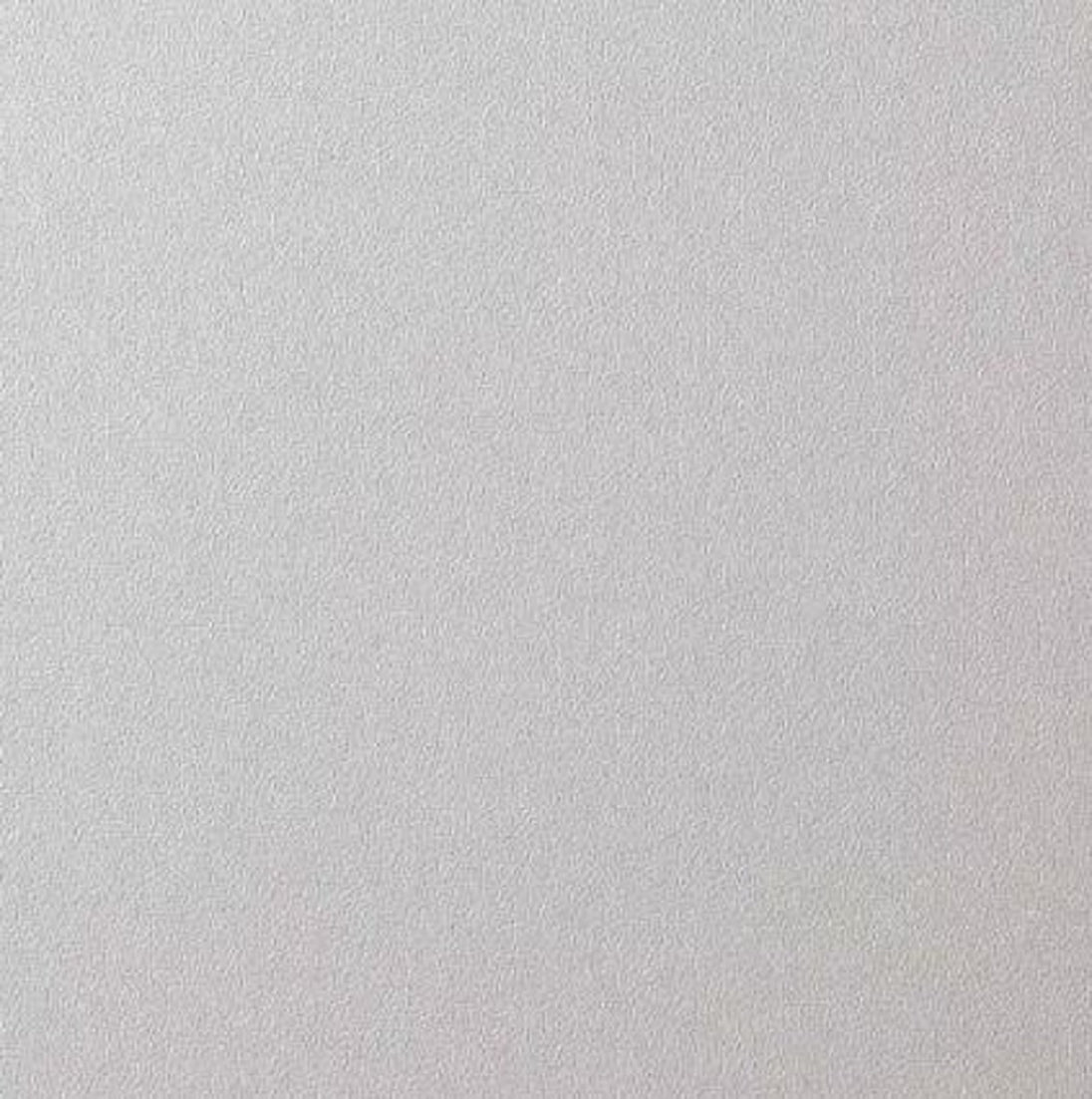 Solid light gray color swatch