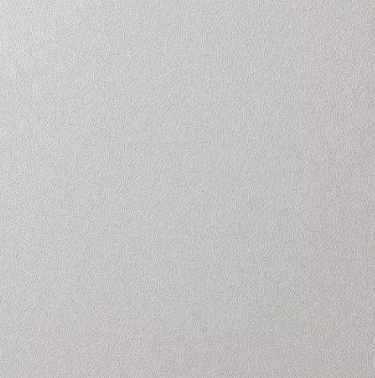 Solid light gray color swatch