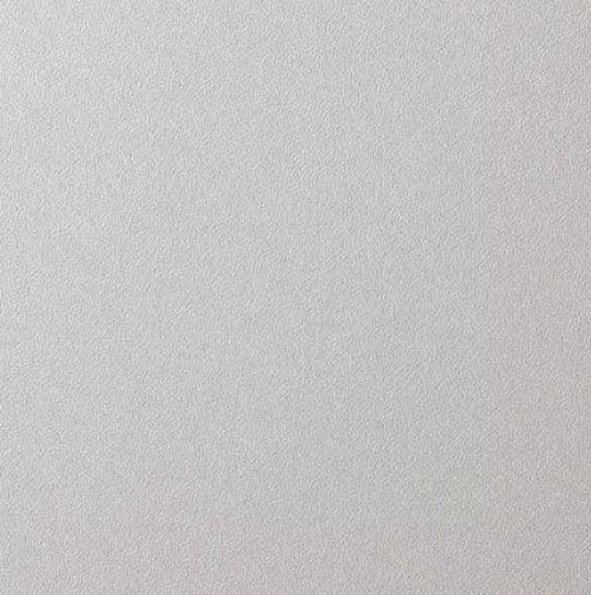 Solid light gray color swatch