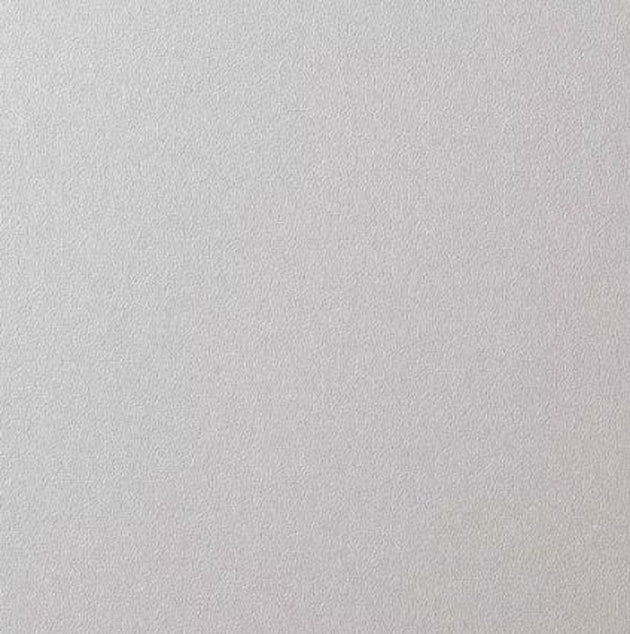 Solid light gray color swatch