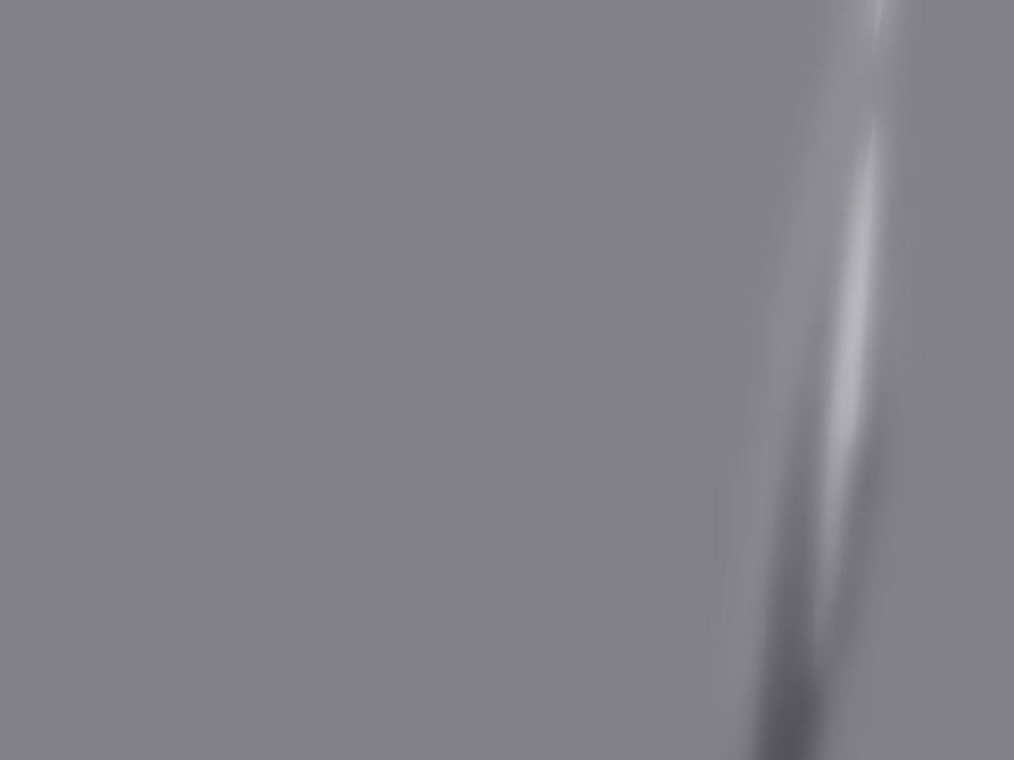 Silver Gray Swatch