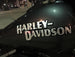 Harley-Davidson logo on a motorcycle at night