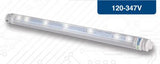 Allanson Speed Lamps 60"