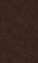 Solid brown color swatch