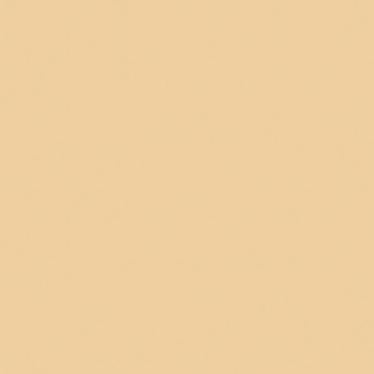 Warm Beige swatch