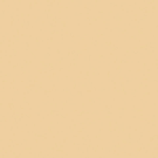 Warm Beige swatch